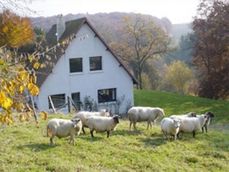 Chambre D'Hotes Les Champarts Tourville-la-Chapelle Exterior photo